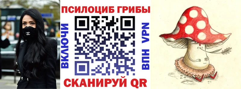 Псилоцибиновые грибы MAGIC MUSHROOMS  MEGA зеркало  Горячий Ключ 